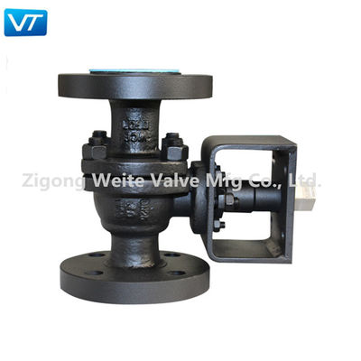 DN 25 Yüzer Gaz Boru Hattı Küresel Vana Sınıf 600 Kolla Çalıştırma